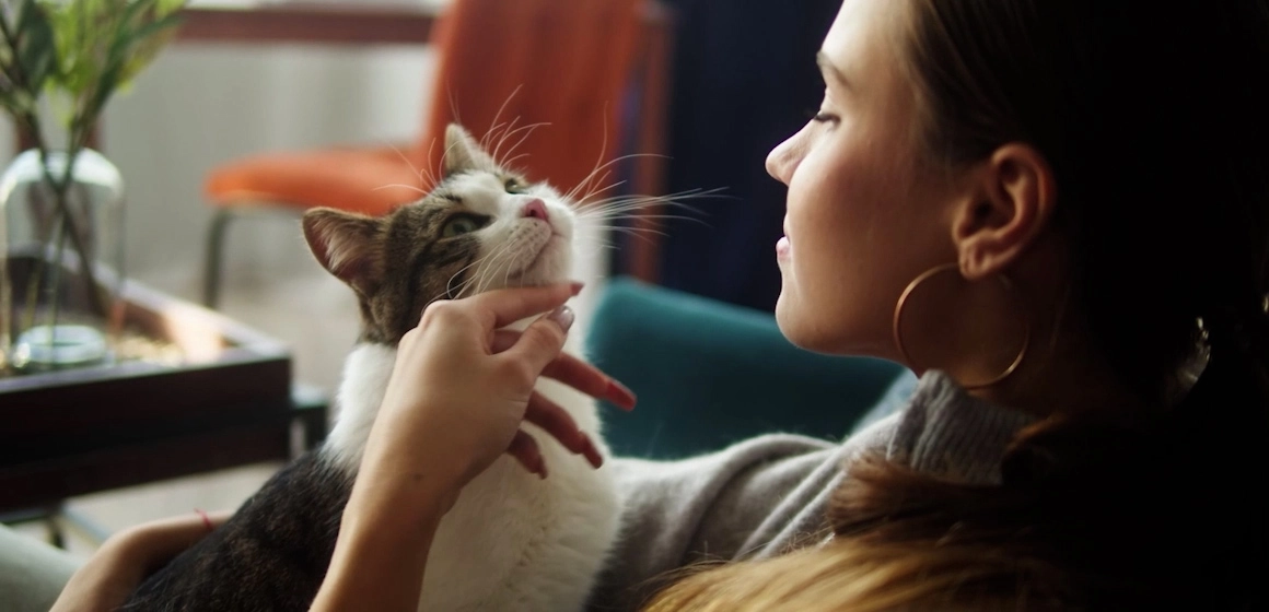 ¿Conocés el seguro de mascota?: Dale lo mejor al miembro más especial de tu familia. 