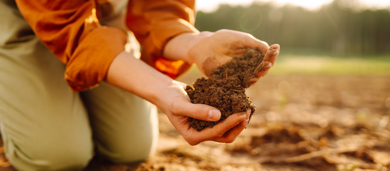La importancia del suelo: por qué es vital para la vida y cómo cuidarlo 