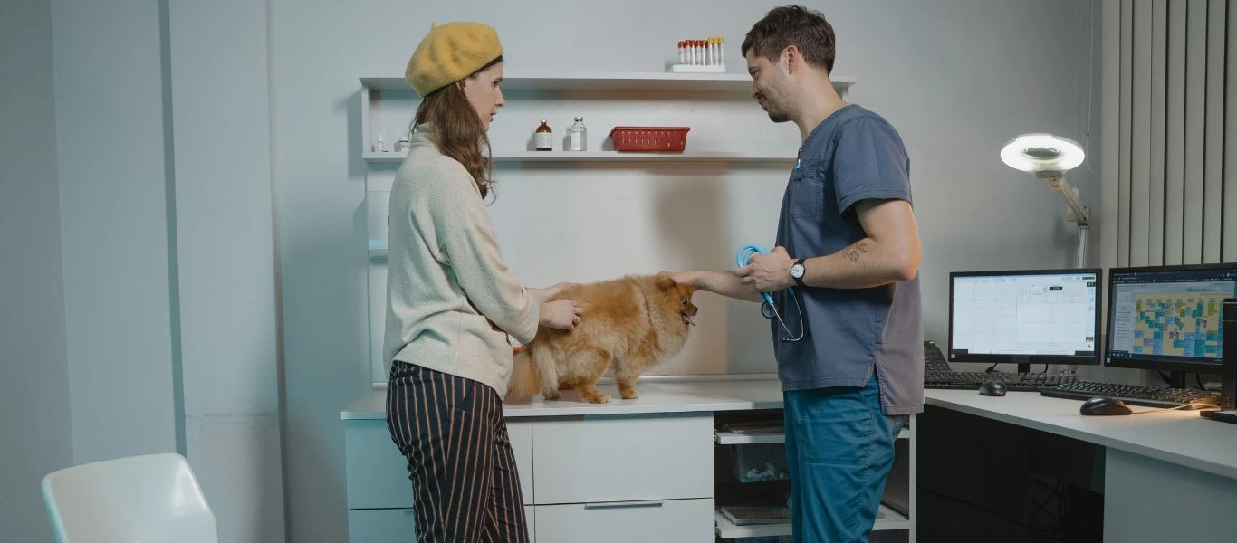Todo en un mismo lugar: cómo organizar los cuidados de tu mascota